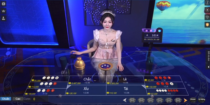 Phòng chơi Xóc Đĩa 7BALL theo hình thức live casino