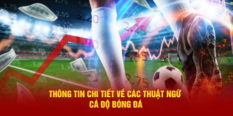 Những thuật ngữ cá độ bóng đá mà hội viên thường gặp